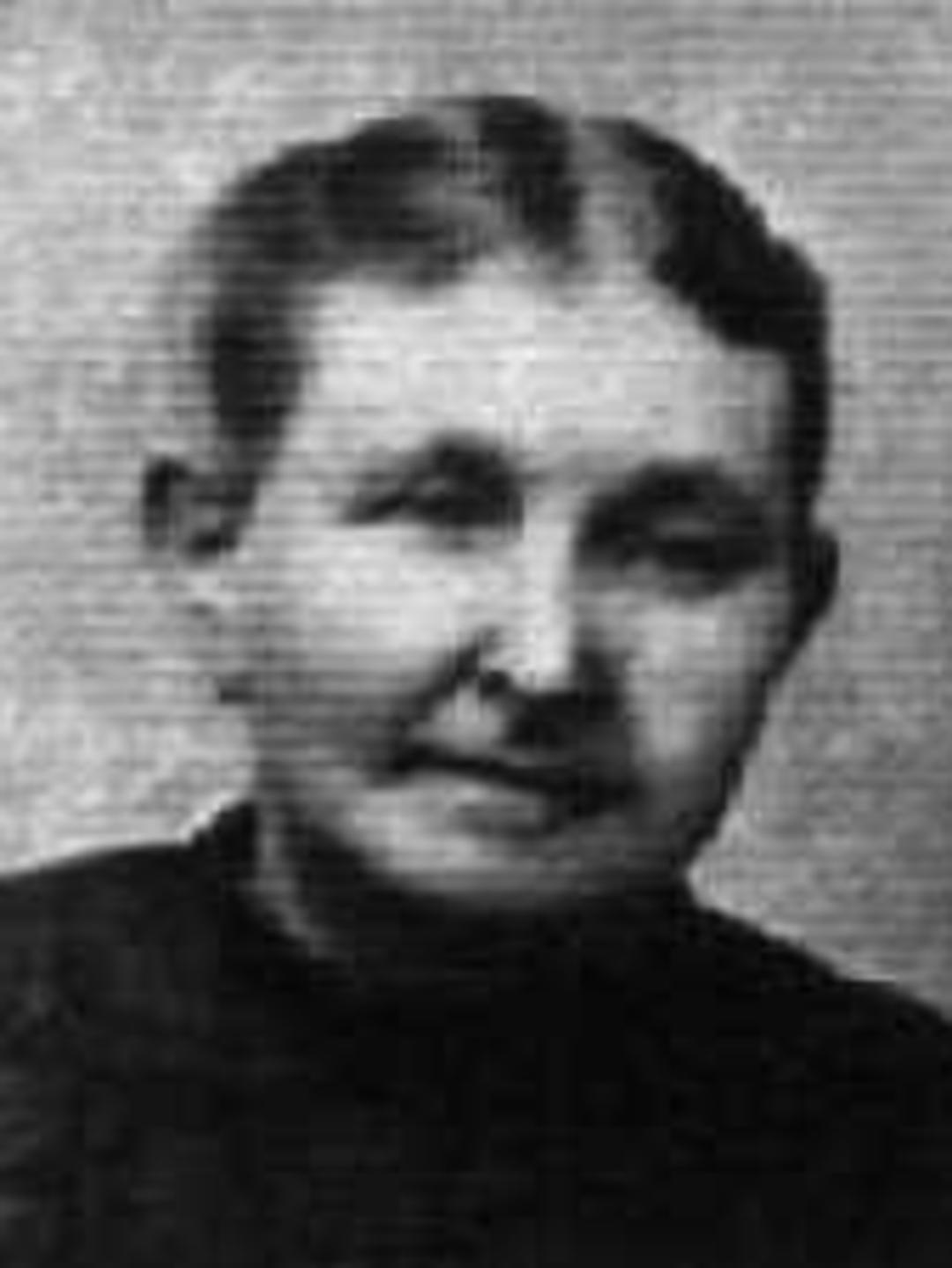 Jane Prestwich (1847 - 1906) Profile